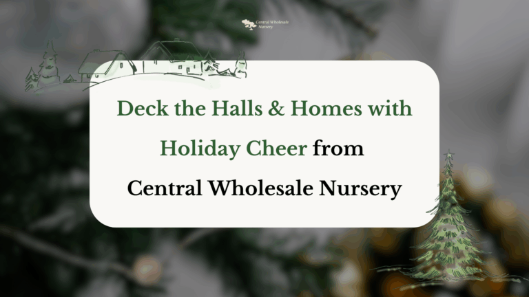 Holiday-themed graphic for Central Wholesale Nursery, promoting festive plants, trees, and home decor for San Jose and South Bay homes. The image features text: "Deck the Halls & Homes with Holiday Cheer from Central Wholesale Nursery."