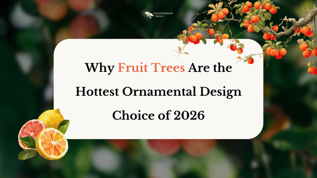 A decorative blog header with the text "Why Fruit Trees Are the Hottest Ornamental Design Choice of 2026" featuring citrus fruit illustrations and a blurred orchard background.