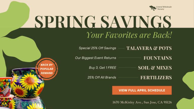 Rows of premium plants and bags of Harvest Supreme soil at Central Wholesale Nursery in San Jose.