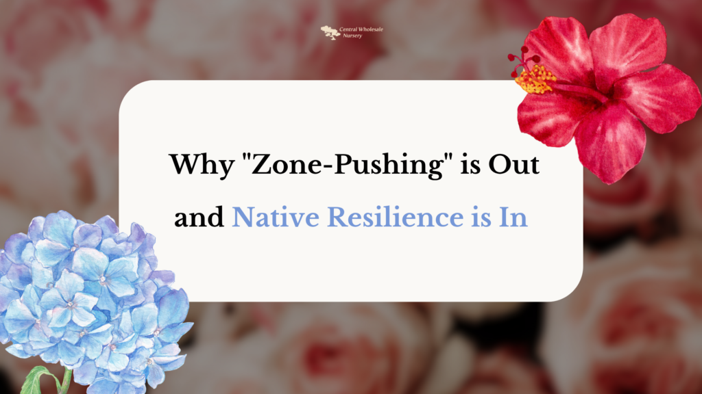 A lush, vibrant garden in San Jose featuring purple Cleveland Sage and orange California poppies, blooming without heavy irrigation.