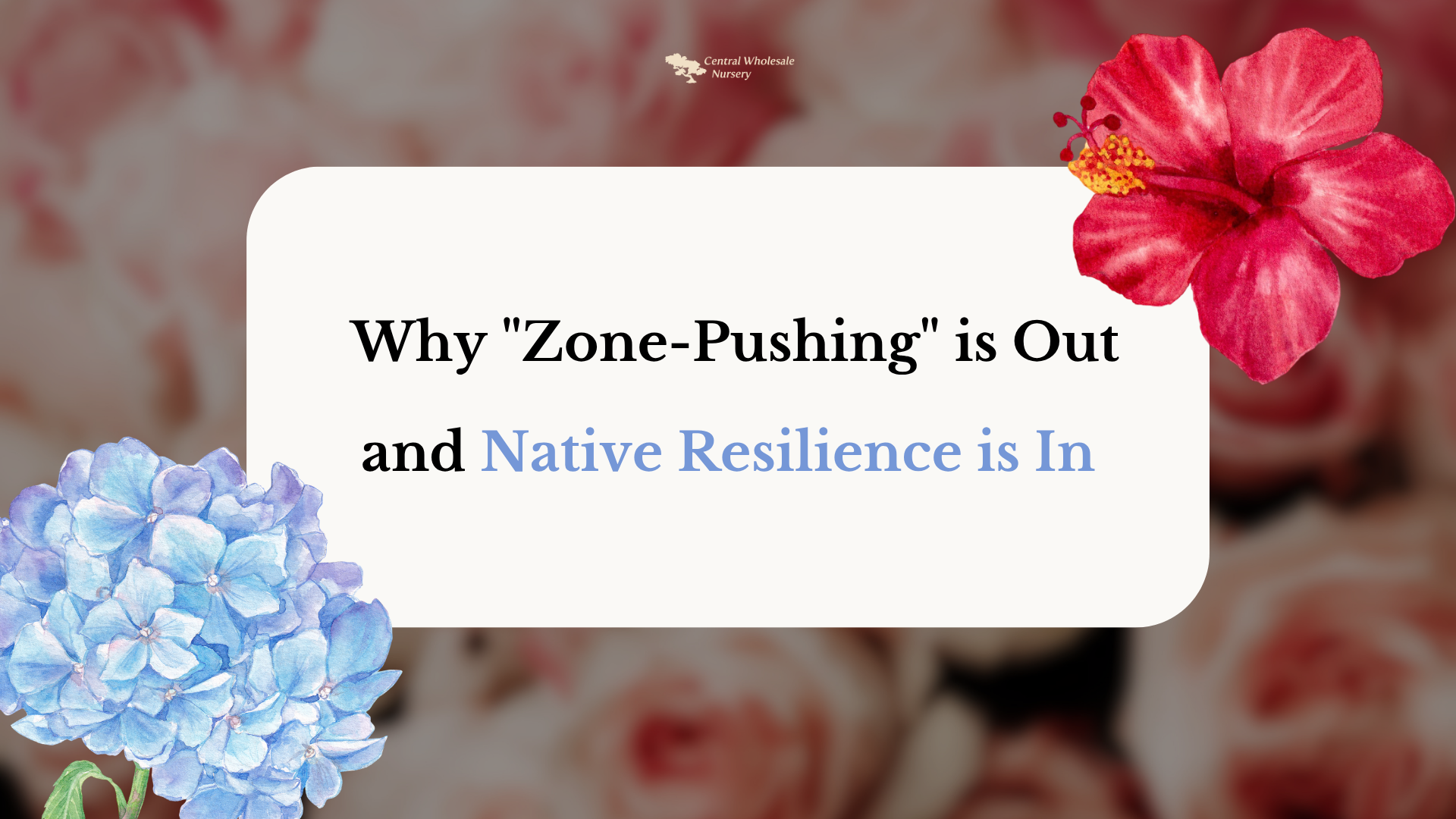 A lush, vibrant garden in San Jose featuring purple Cleveland Sage and orange California poppies, blooming without heavy irrigation.