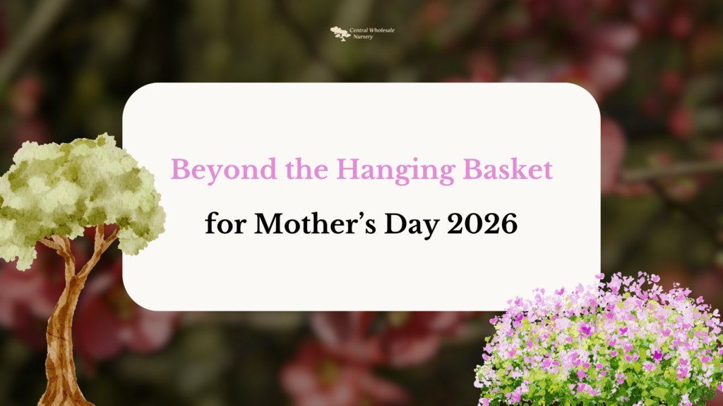 A vibrant arrangement of perennial flowers in a ceramic floor vase, replacing the traditional hanging basket concept.